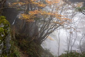 Shikoku-Nature-011