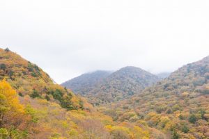 Shikoku-Nature-012