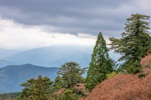 Shikoku-Nature-062