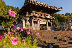 Shikoku-temples-029