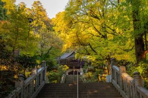 Shikoku-temples-045