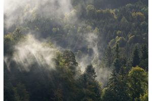 Blick vom Campingplatz Nenzing/A (G9II)