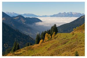 am Furkajoch/A (G9II)