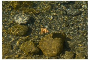 nach der Rappenlochschlucht / A (G9II)