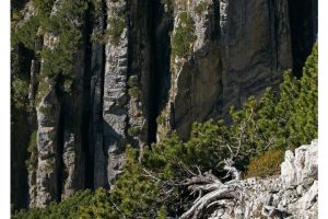 am Lechpass/A (G9II)