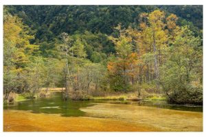 Kamikochi, Japanische Alpen (OM-1)