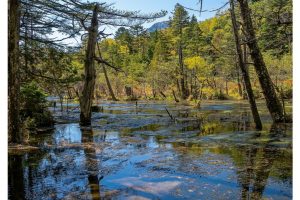 Kamikochi, Japanische Alpen (OM-1)