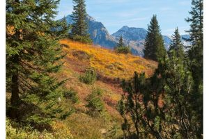 am Wiegensee/A (G9II)