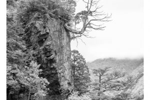 am Tsurugi-san, Shikoku/Japan (SL2-S)