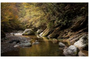 im Iya Tal, Shikoku, Japan (SL2-S)