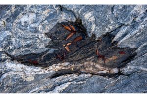 Nature-Color-Tag-3-197-014