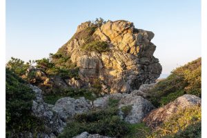 am Cape Muroto, Shikoku, Japan (SL2-S)