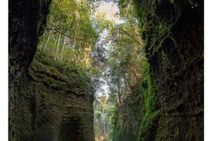 Ioki Cave, Kochi, Shikoku, Japan (SL2-S)