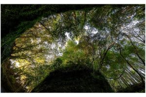 Ioki Cave, Kochi, Shikoku, Japan (SL2-S)