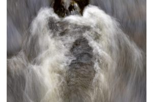 Bode Tal, Harz (OM-1)