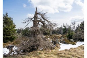 Brocken, Harz (OM-1)