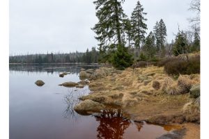 Oderteich, Harz (OM-1)