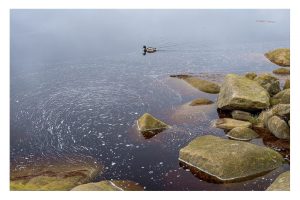 Oderteich, Harz (OM-1)