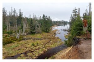 Oderteich, Harz (OM-1)