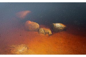 Oderteich, Harz (OM-1)