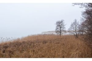 Müritz, Mecklenburg (D-Lux 8)