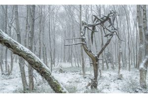 Rotes Moor, Rhön (OM-1)