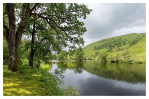 Glenorchy, Schottland (OM-1)