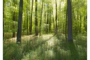 OTS-rote-lache-29-April-2025-016