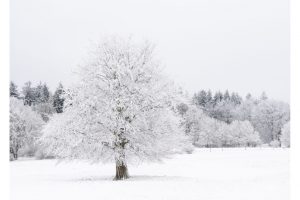 am Roten Moor, Rhön (OM-1)
