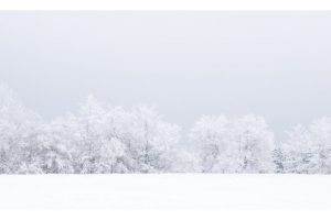 am Roten Moor, Rhön (OM-1)