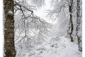 Rotes Moor, Rhön (OM-1)