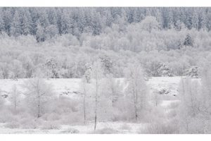 Rotes Moor, Rhön (OM-1)
