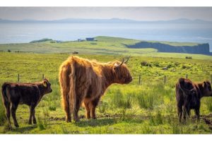 OTS-schottland-2024-web-038