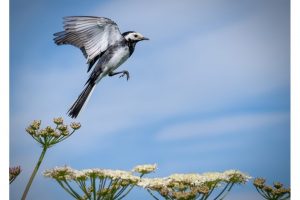 OTS-schottland-2024-web-039