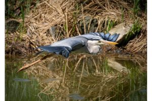 OTS-walks-spring-004