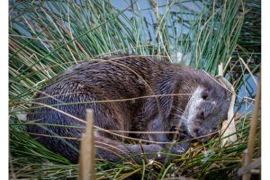 OTS-walks-spring-014