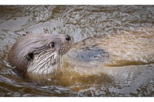 OTS-walks-spring-015