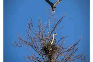 OTS-walks-spring-018