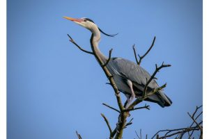 OTS-walks-spring-019