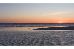 Strand bei Blåvand, Dänemark (X1DII)