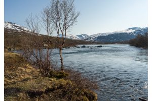 Jotunheimen, Norwegen (X1DII)