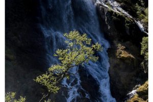 Einer der vielen Wasserfälle im Myrdal bei Flåm, Norwegen (X1DII)