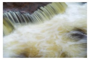 am Oderteich, Harz (OM-1)